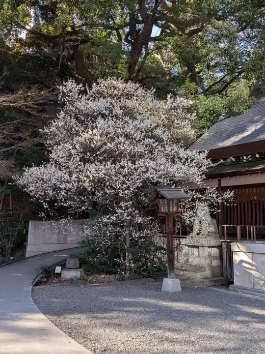 乃木神社(東京都)