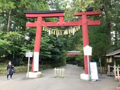 大崎八幡宮の鳥居