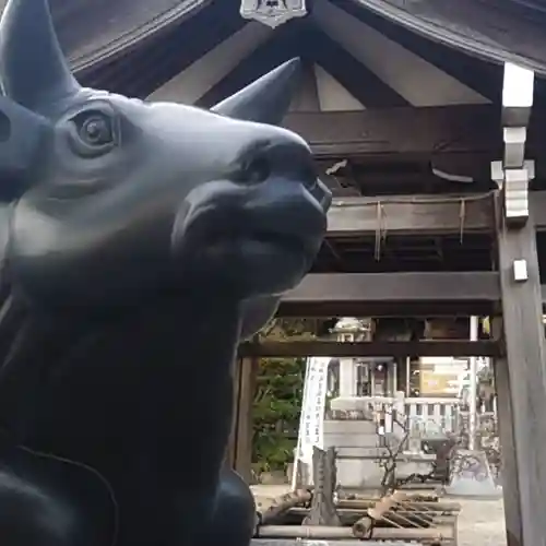 岡崎天満宮の狛犬