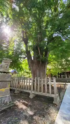新宮熊野神社(福島県)