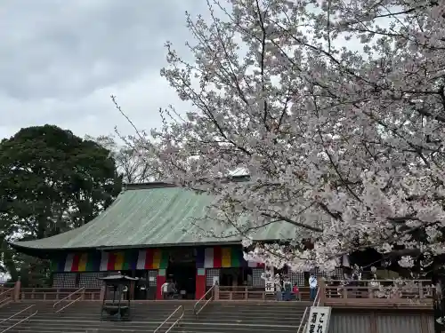 喜多院の{uncategorized: "未分類", other: "その他", undefined: "問題あり", building: "その他建物", grave: "お墓", sacred_gate: "鳥居", guardian: "狛犬", statue: "像", buddha: "仏像", history: "歴史", nature: "自然", garden: "庭園", animal: "動物", pagoda: "塔", temizu: "手水舎", mountain_gate: "山門・神門", sanctuary: "本殿・本堂", subordinate: "末社・摂社", art: "芸術", scenery: "景色", jizo: "地蔵", ema: "絵馬", goshuin: "御朱印", omikuji: "おみくじ", items: "授与品その他", amulet: "お守り", goshuincho: "御朱印帳", eats: "食事", festival: "お祭り", votive_dance: "神楽", shichigosan: "七五三参", wedding: "結婚式", experience: "体験その他", initially: "初詣", around: "周辺", anti_infection: "感染症対策"}