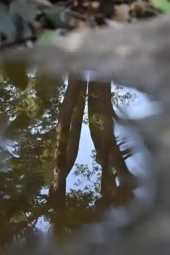 代々木八幡宮のその他建物