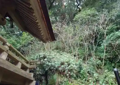 出雲大社(島根県)