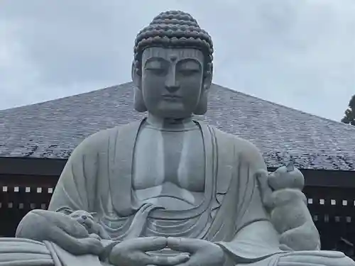 御誕生寺（猫寺）(福井県)