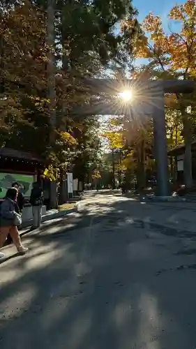 北海道神宮(北海道)