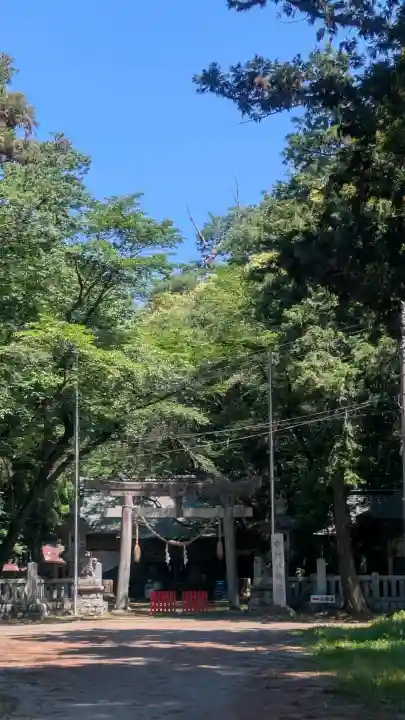 中村八幡宮の{uncategorized: "未分類", other: "その他", undefined: "問題あり", building: "その他建物", grave: "お墓", sacred_gate: "鳥居", guardian: "狛犬", statue: "像", buddha: "仏像", history: "歴史", nature: "自然", garden: "庭園", animal: "動物", pagoda: "塔", temizu: "手水舎", mountain_gate: "山門・神門", sanctuary: "本殿・本堂", subordinate: "末社・摂社", art: "芸術", scenery: "景色", jizo: "地蔵", ema: "絵馬", goshuin: "御朱印", omikuji: "おみくじ", items: "授与品その他", amulet: "お守り", goshuincho: "御朱印帳", eats: "食事", festival: "お祭り", votive_dance: "神楽", shichigosan: "七五三参", wedding: "結婚式", experience: "体験その他", initially: "初詣", around: "周辺", anti_infection: "感染症対策"}