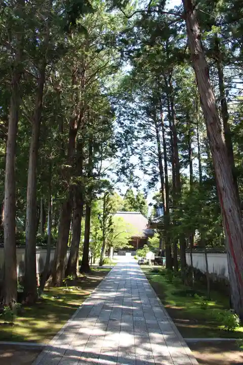國分寺のその他建物