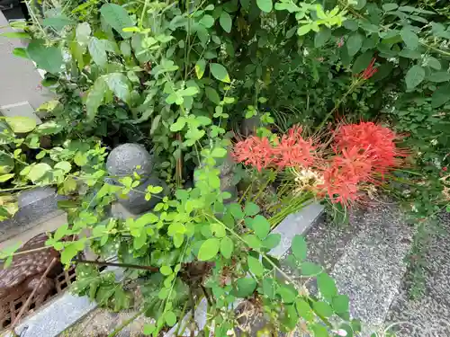 勝念寺（かましきさん）(京都府)
