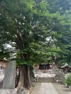 滝野川八幡神社(東京都)