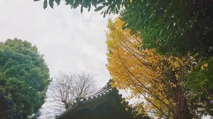 八坂社(桜木)の景色