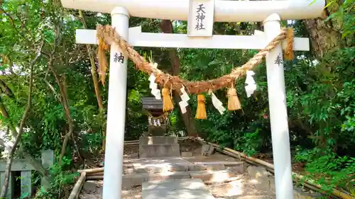 白山媛神社（上条白山媛神社）の鳥居