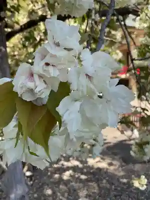 上地八幡宮(愛知県)