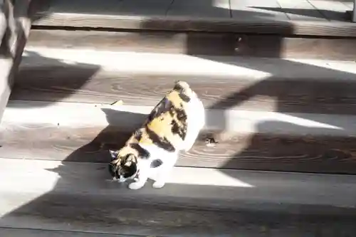 菊田神社(千葉県)