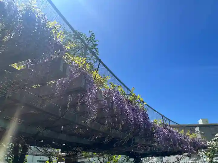 天神社(大阪府)