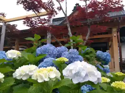 總社 和田八幡宮(福井県)