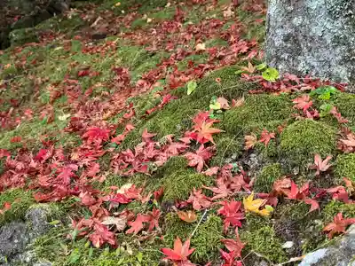 播州清水寺(兵庫県)
