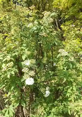 比佐豆知神社(三重県)