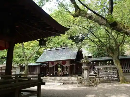 金崎宮の本殿・本堂