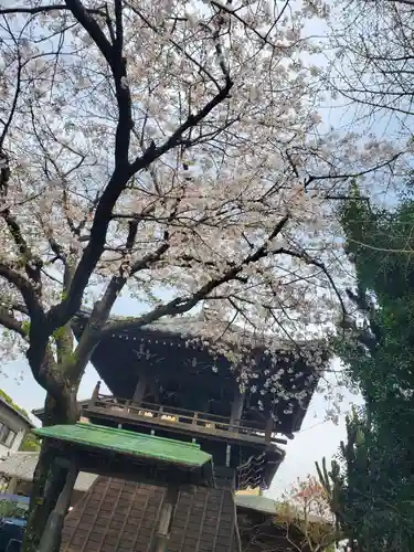 東漸寺(静岡県)