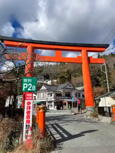 箱根神社の鳥居