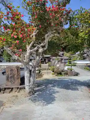 福聚寺(兵庫県)