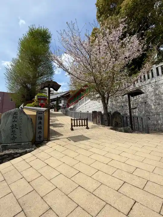 放生寺の{uncategorized: "未分類", other: "その他", undefined: "問題あり", building: "その他建物", grave: "お墓", sacred_gate: "鳥居", guardian: "狛犬", statue: "像", buddha: "仏像", history: "歴史", nature: "自然", garden: "庭園", animal: "動物", pagoda: "塔", temizu: "手水舎", mountain_gate: "山門・神門", sanctuary: "本殿・本堂", subordinate: "末社・摂社", art: "芸術", scenery: "景色", jizo: "地蔵", ema: "絵馬", goshuin: "御朱印", omikuji: "おみくじ", items: "授与品その他", amulet: "お守り", goshuincho: "御朱印帳", eats: "食事", festival: "お祭り", votive_dance: "神楽", shichigosan: "七五三参", wedding: "結婚式", experience: "体験その他", initially: "初詣", around: "周辺", anti_infection: "感染症対策"}