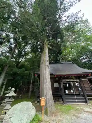 松尾神社(長野県)