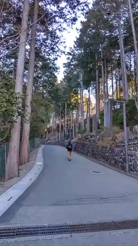 三峯神社(埼玉県)
