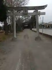 八幡神社(埼玉県)