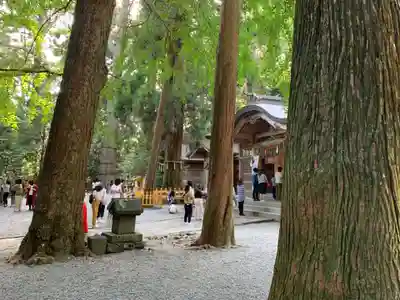 高千穂神社のその他建物