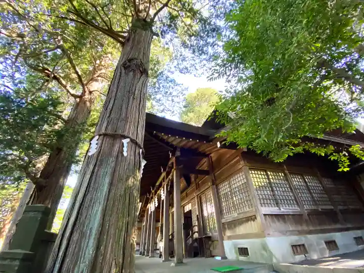 藪原神社のその他建物