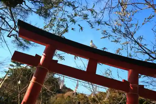 鶴岡八幡宮の鳥居