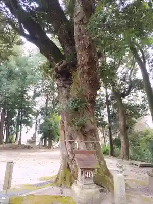 稲田神社(茨城県)