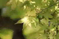 鹿島大神宮の庭園