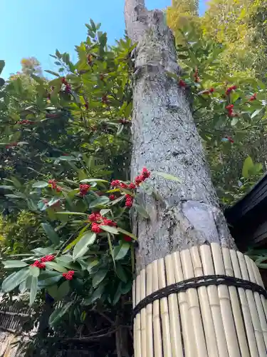 清荒神清澄寺(兵庫県)