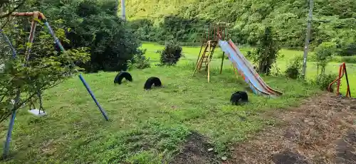 甘酒地蔵堂の周辺