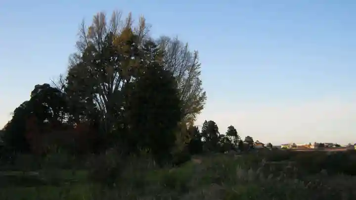 鵜川神社の景色