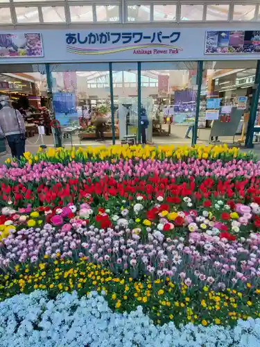 寺岡山元三大師の周辺