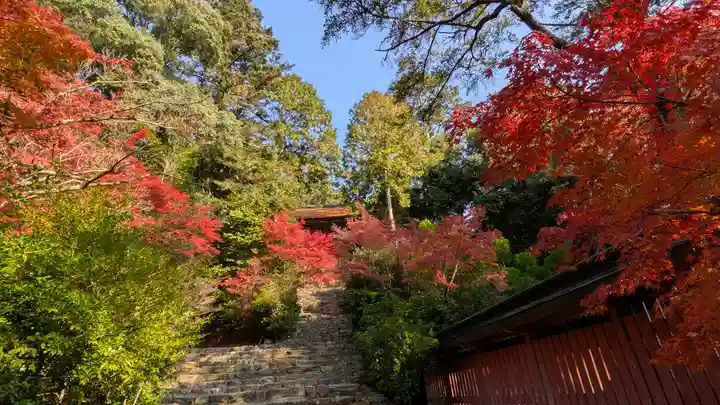 神護寺(京都府)