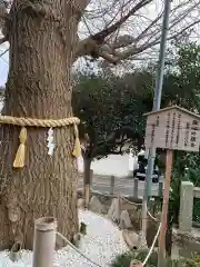 鹿嶋神社(茨城県)