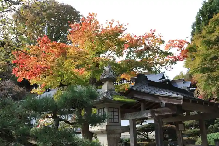 鹿島大神宮の自然