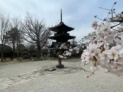 真正極楽寺(真如堂)(京都府)