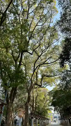 錦織神社(大阪府)