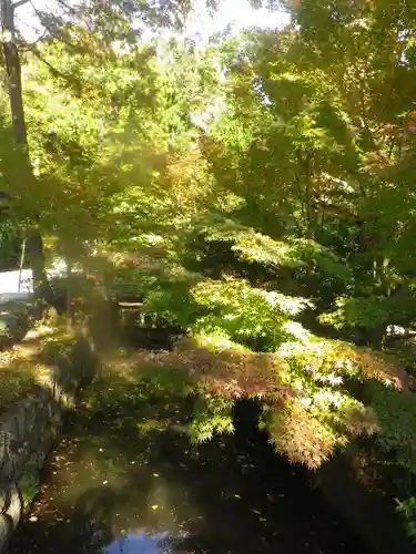 鶴岡八幡宮の自然
