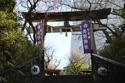 牛天神北野神社(東京都)