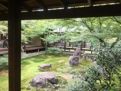 建仁寺（建仁禅寺）の庭園