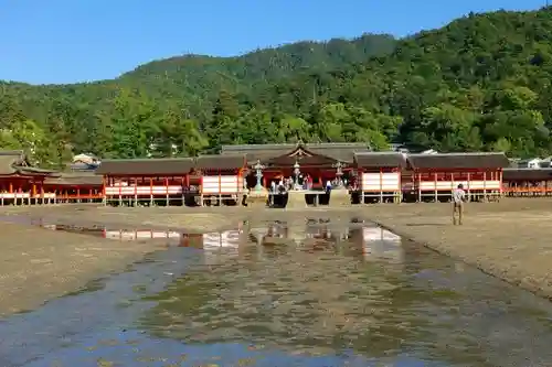 厳島神社の本殿