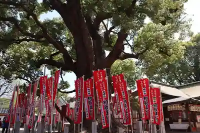 楠珺社(住吉大社末社)の自然