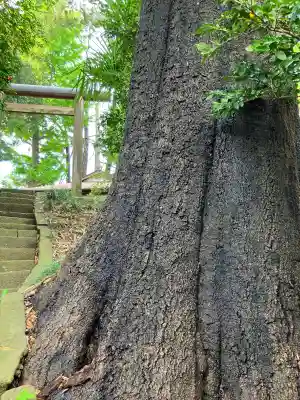 宇津貫毘沙門天の{uncategorized: "未分類", other: "その他", undefined: "問題あり", building: "その他建物", grave: "お墓", sacred_gate: "鳥居", guardian: "狛犬", statue: "像", buddha: "仏像", history: "歴史", nature: "自然", garden: "庭園", animal: "動物", pagoda: "塔", temizu: "手水舎", mountain_gate: "山門・神門", sanctuary: "本殿・本堂", subordinate: "末社・摂社", art: "芸術", scenery: "景色", jizo: "地蔵", ema: "絵馬", goshuin: "御朱印", omikuji: "おみくじ", items: "授与品その他", amulet: "お守り", goshuincho: "御朱印帳", eats: "食事", festival: "お祭り", votive_dance: "神楽", shichigosan: "七五三参", wedding: "結婚式", experience: "体験その他", initially: "初詣", around: "周辺", anti_infection: "感染症対策"}