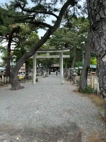 建部大社の{uncategorized: "未分類", other: "その他", undefined: "問題あり", building: "その他建物", grave: "お墓", sacred_gate: "鳥居", guardian: "狛犬", statue: "像", buddha: "仏像", history: "歴史", nature: "自然", garden: "庭園", animal: "動物", pagoda: "塔", temizu: "手水舎", mountain_gate: "山門・神門", sanctuary: "本殿・本堂", subordinate: "末社・摂社", art: "芸術", scenery: "景色", jizo: "地蔵", ema: "絵馬", goshuin: "御朱印", omikuji: "おみくじ", items: "授与品その他", amulet: "お守り", goshuincho: "御朱印帳", eats: "食事", festival: "お祭り", votive_dance: "神楽", shichigosan: "七五三参", wedding: "結婚式", experience: "体験その他", initially: "初詣", around: "周辺", anti_infection: "感染症対策"}